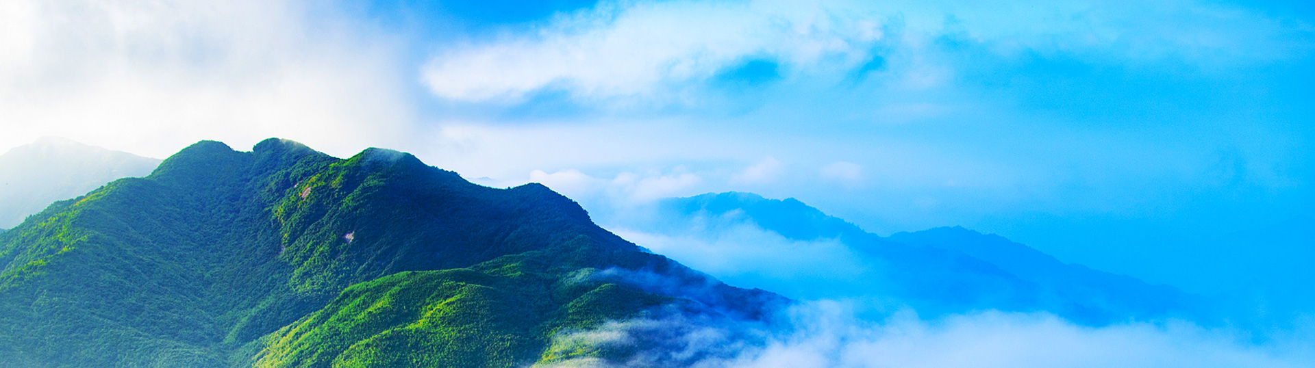 生態山金